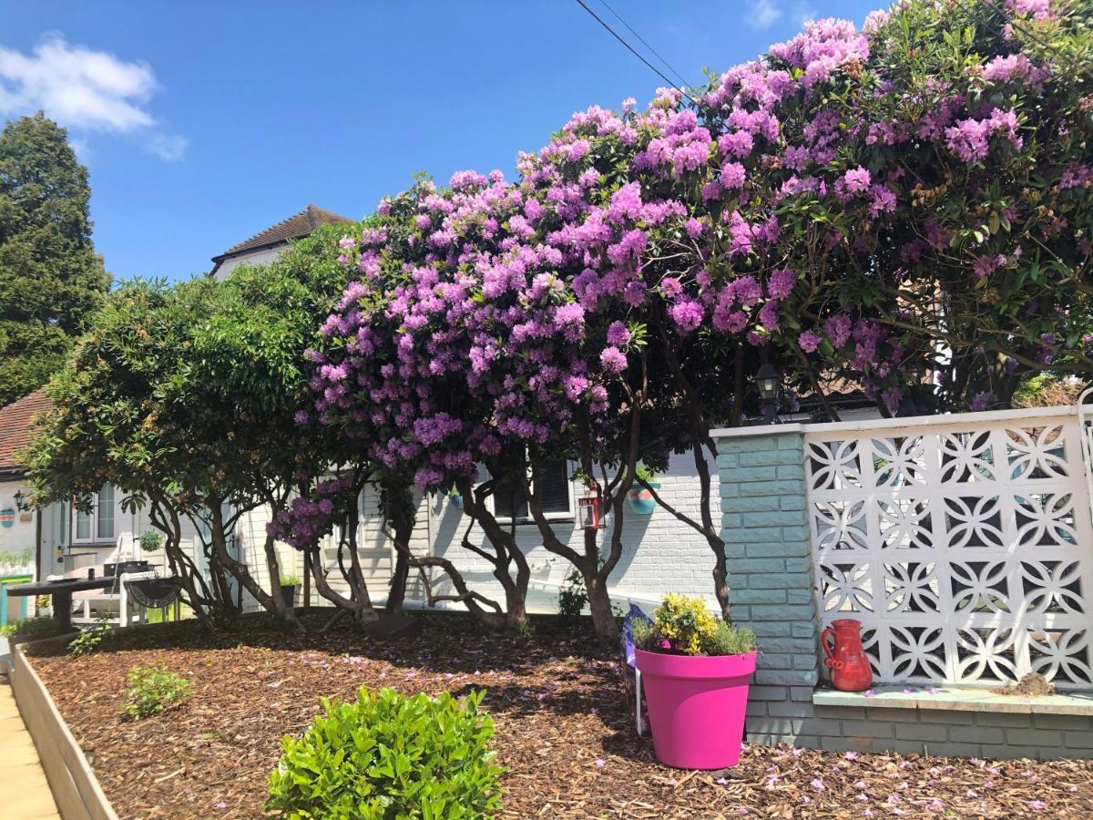 Hazelwick Guest House Hookwood Luaran gambar